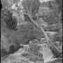 Charlotte De Salis with two younger girls at Ginninderra Falls ca 1890