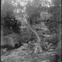De Salis children picnic at Ginninderra Falls 1893