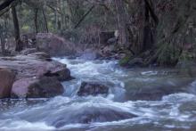 Ginninderra Creek