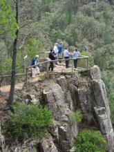 Hon Penny Sharpe MLC at the Top Falls Lookout